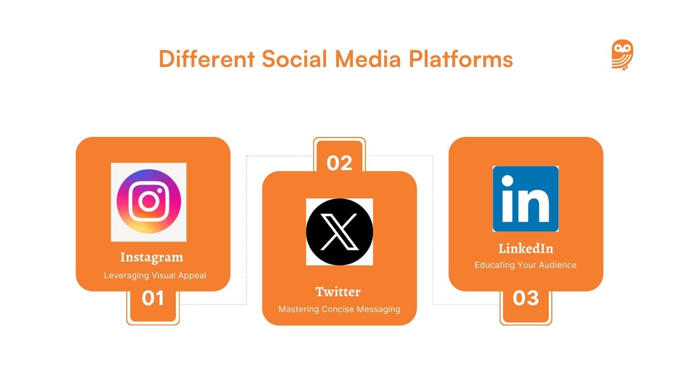 Tailoring social strategy for different social media platforms 