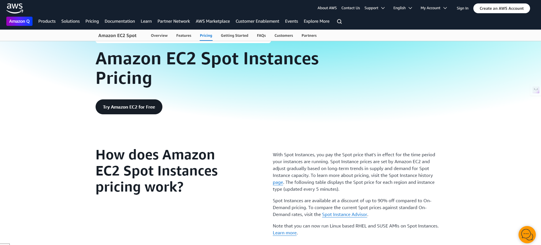 AWS Spot Instances